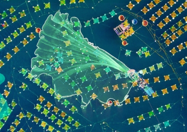 ფოტოების პლატფორმა Dronestagram-ით National Geographic დაინტერესდა