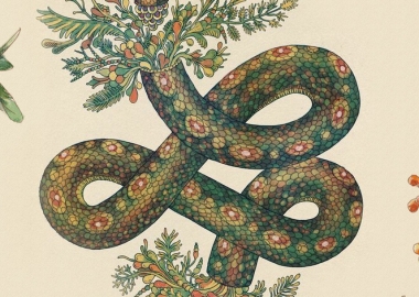 როგორ დავძლიოთ გველების შიში