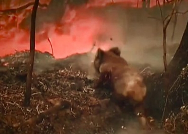 27 ნოემბერი დილიდან 