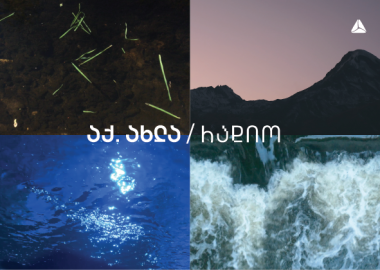 ხმები საქართველოდან - აქ. ახლა თიბისი ახალ პროექტს იწყებს