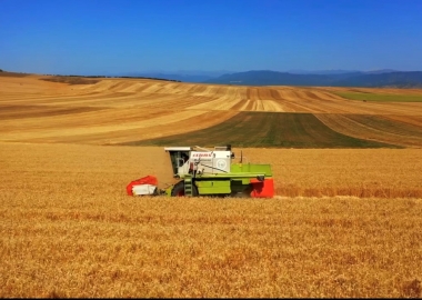 პურის ცხობის ისტორია სახაბაზო პური გულიანში